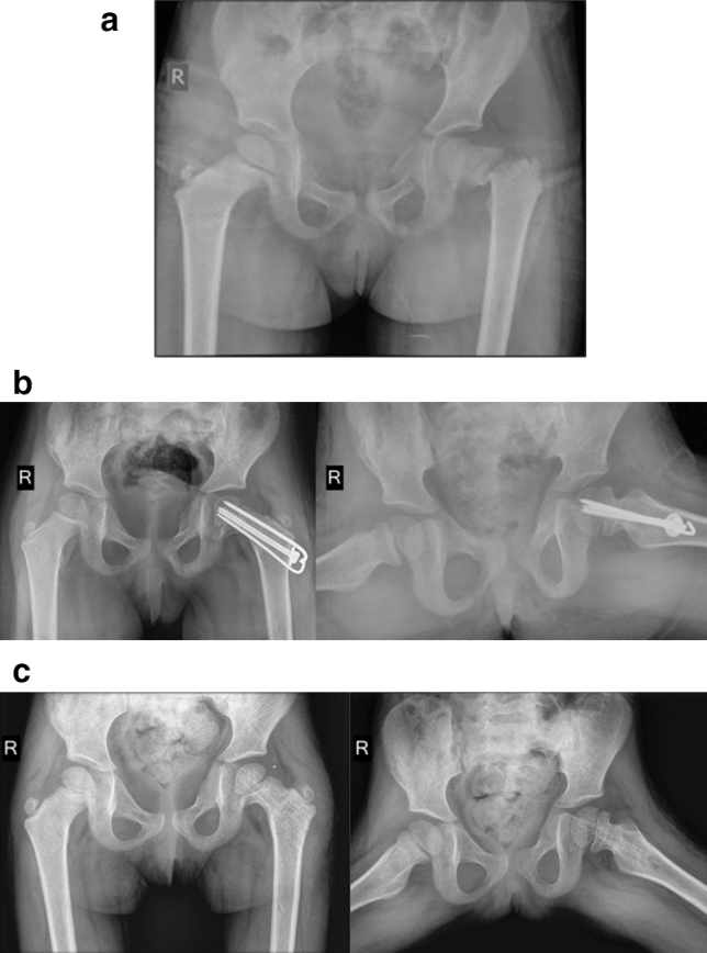 Fig. 3