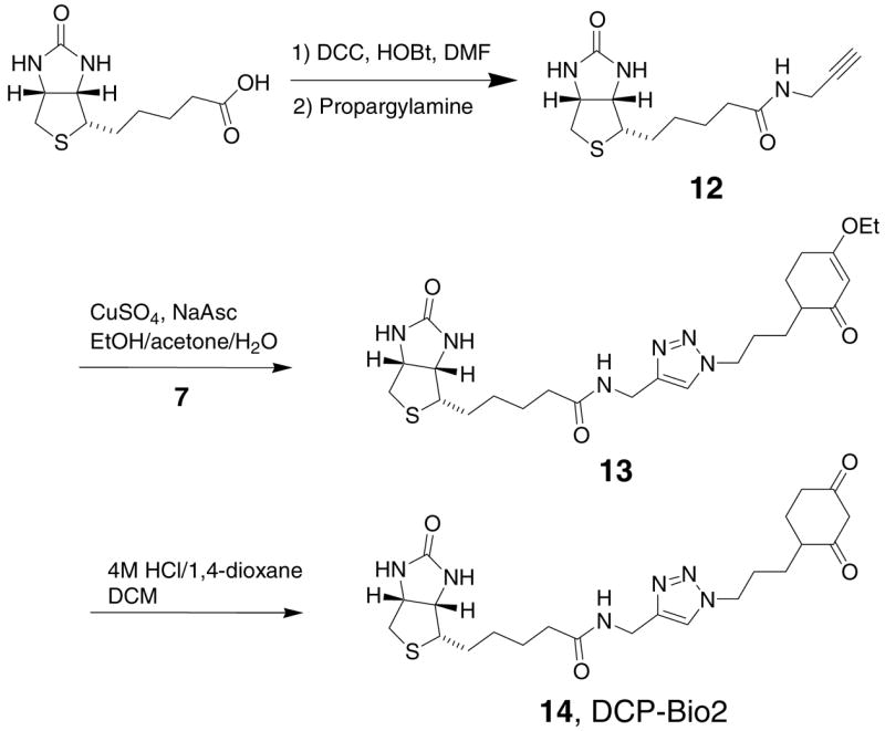 Scheme 4