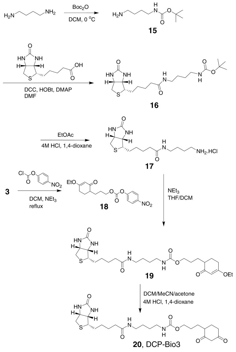 Scheme 5