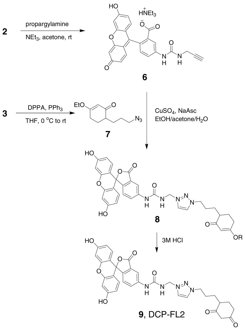 Scheme 2