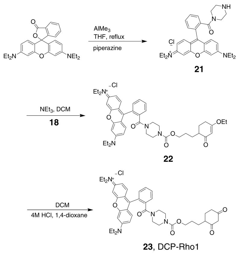 Scheme 6