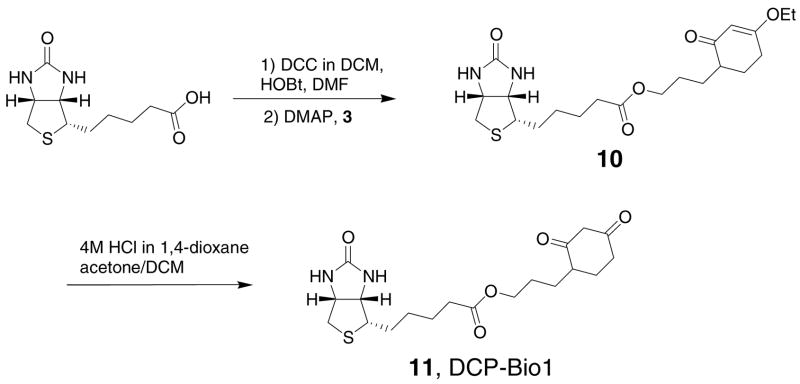 Scheme 3