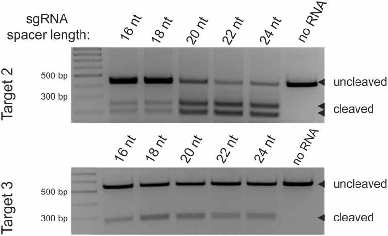 Figure 5.