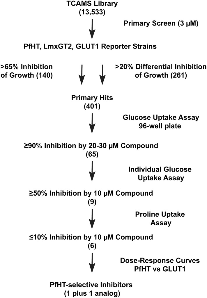 Fig 1