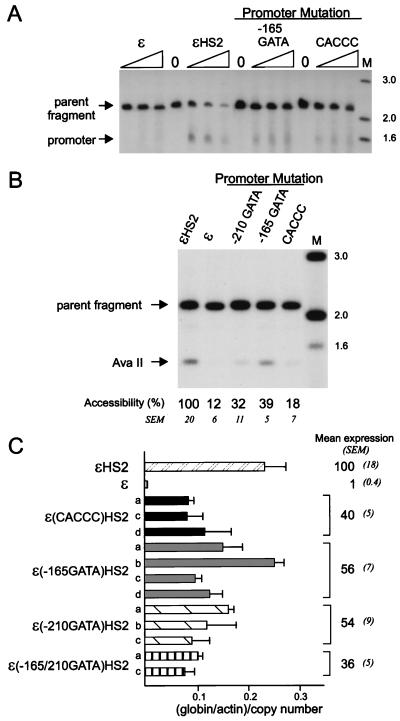 FIG. 6