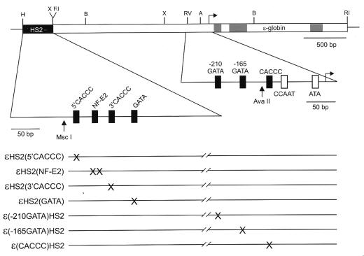 FIG. 1