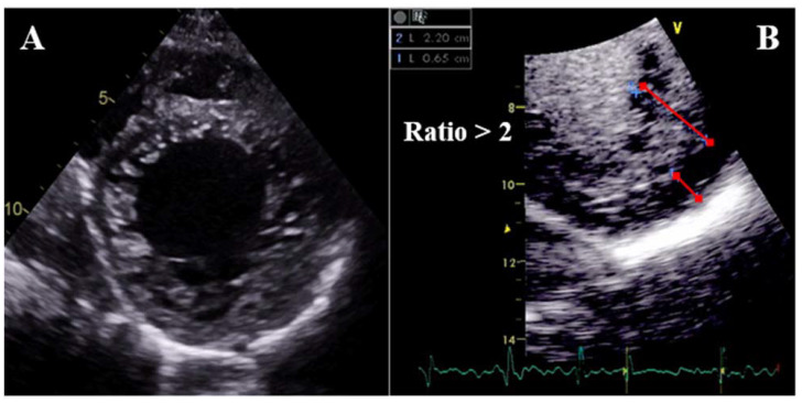 Figure 24