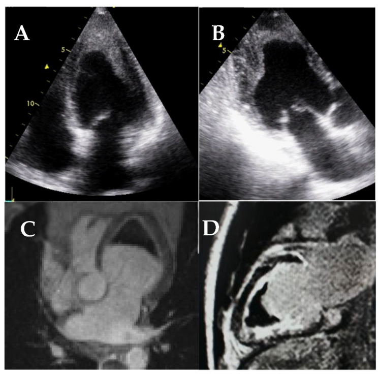 Figure 20