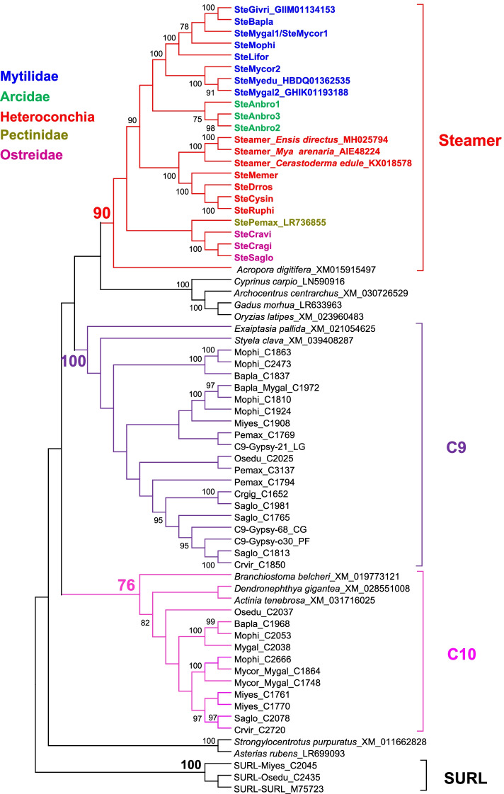 Fig. 6