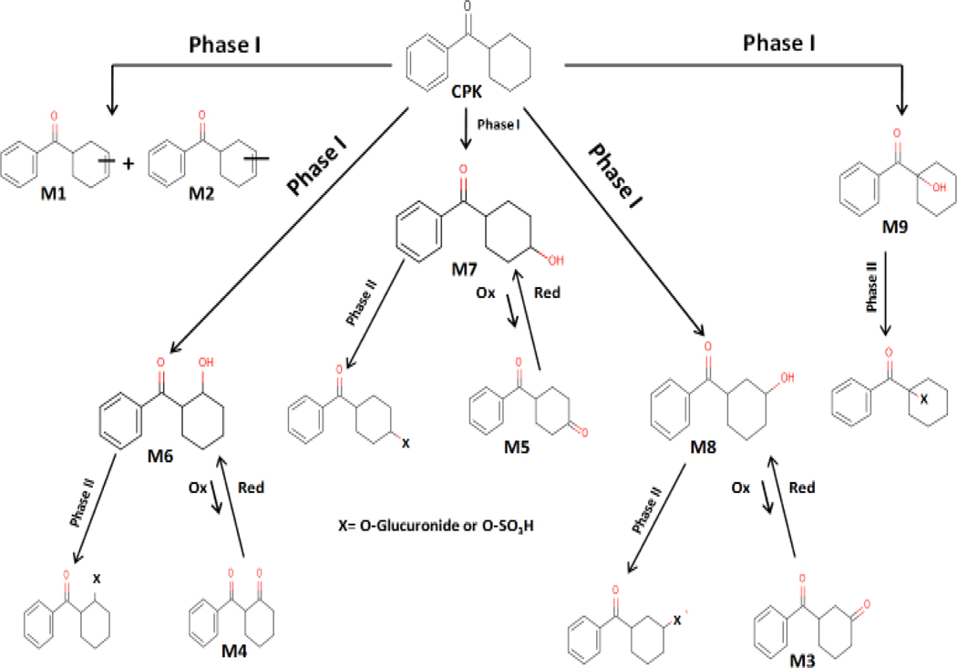 Scheme 2.