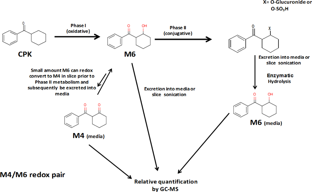 Scheme 1.