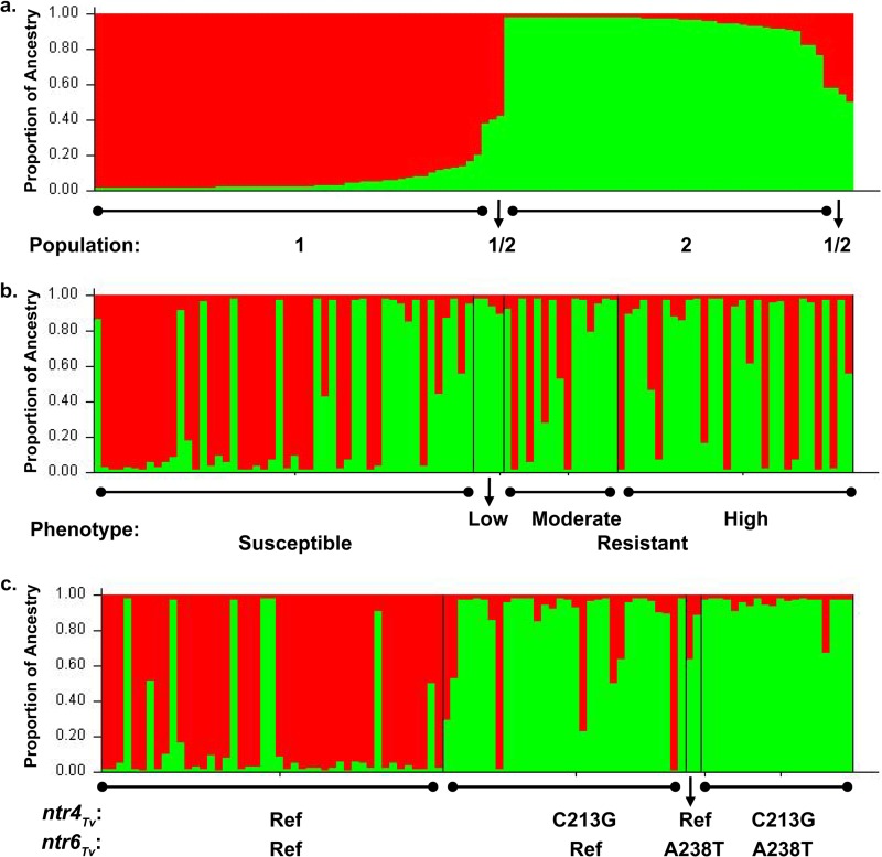 FIG 3