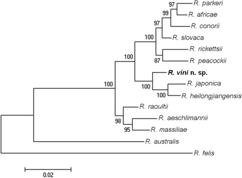 Fig. 2