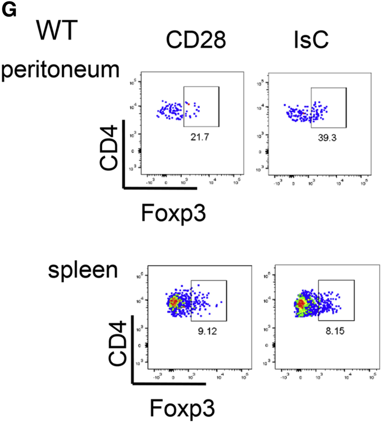 Figure 3G