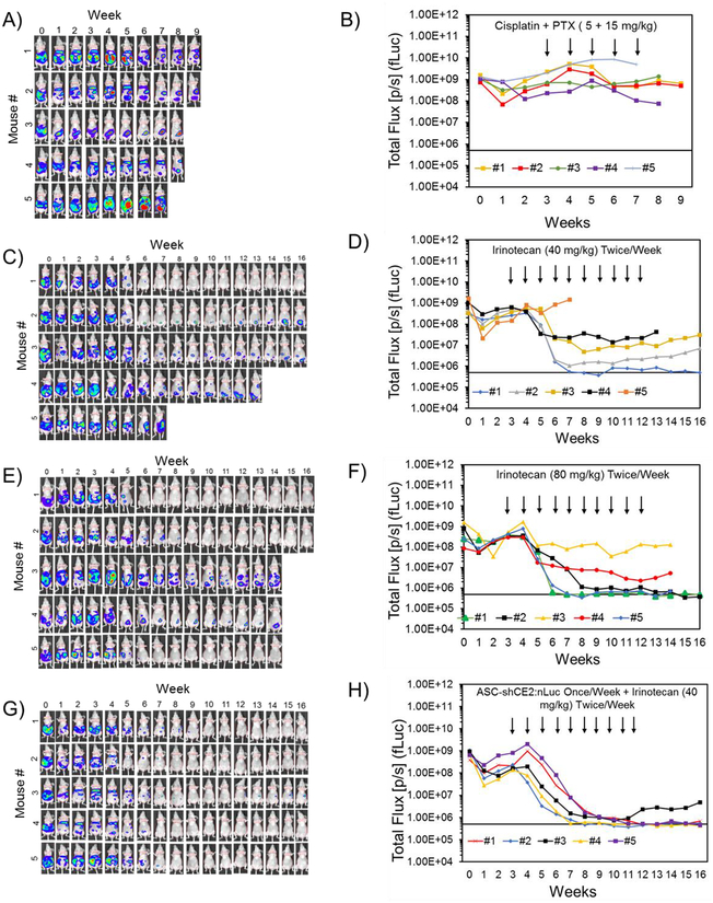 Figure 5: