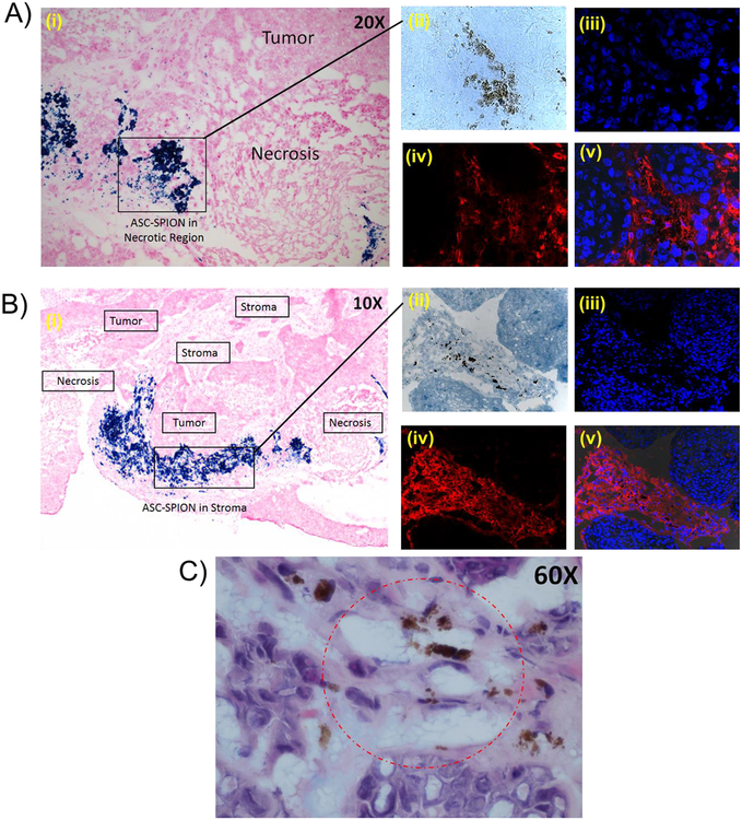 Figure 4: