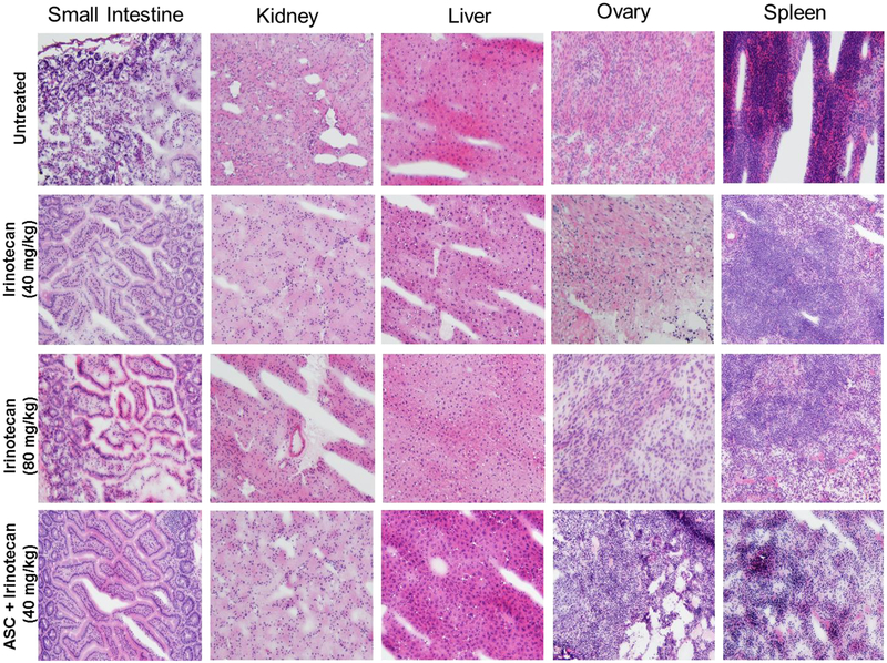 Figure 7: