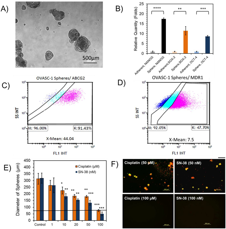 Figure 2: