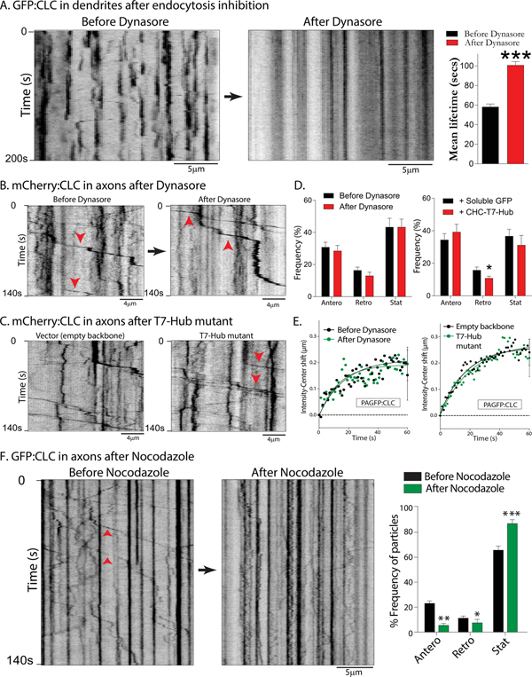 Figure 2: