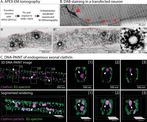 Figure 3: