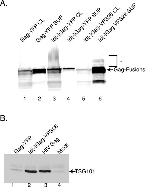 FIG. 4.