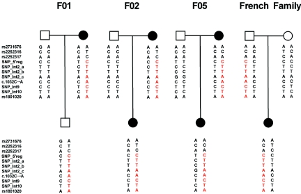 Figure  3. 