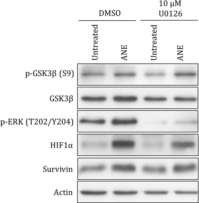 graphic file with name mmc6.jpg