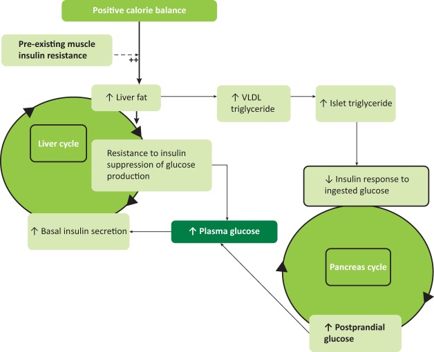 Fig 1.