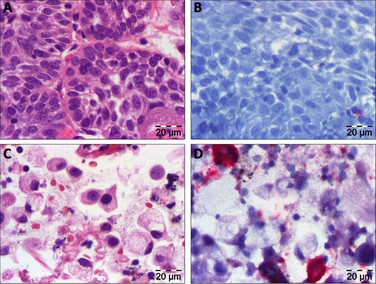 Fig. 2