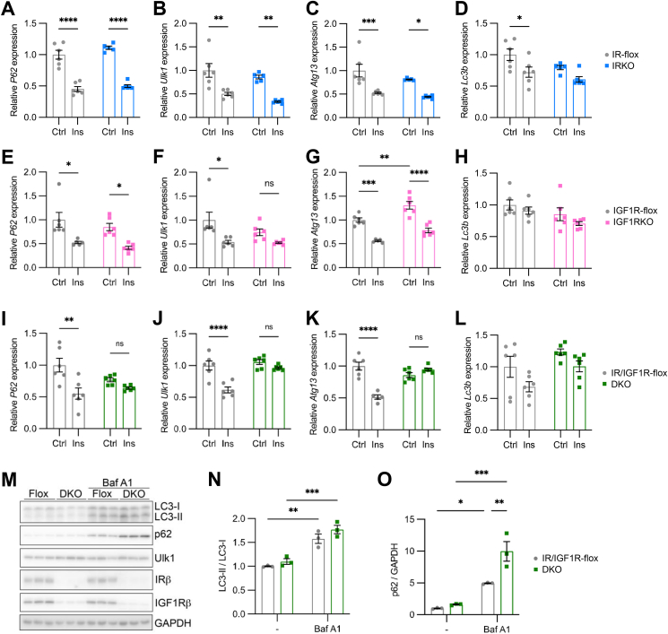 Figure 6