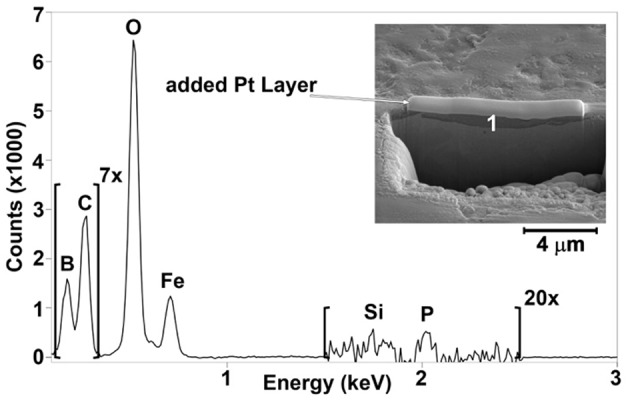 Figure 10