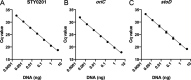 FIG 1