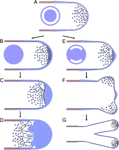 Fig. 4