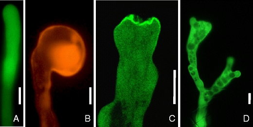 Fig. 2