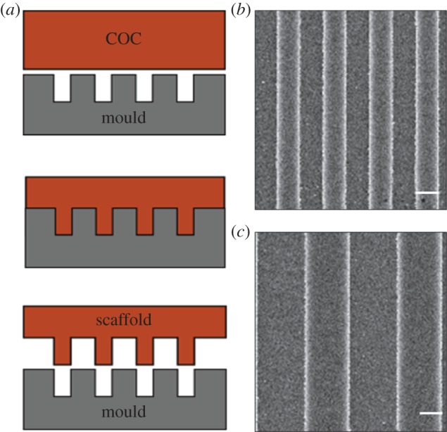 Figure 1.