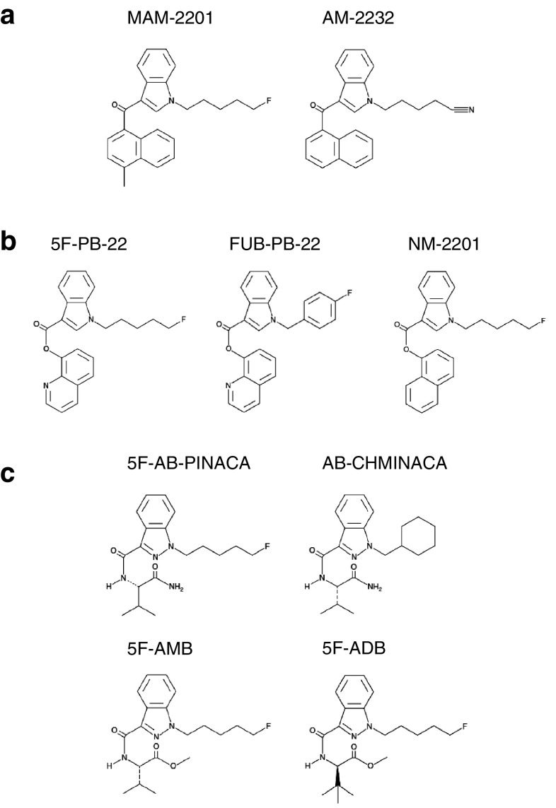 Fig. 2