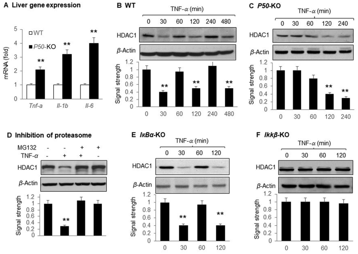 Figure 7