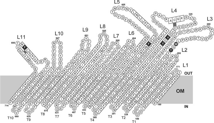 FIG. 1.