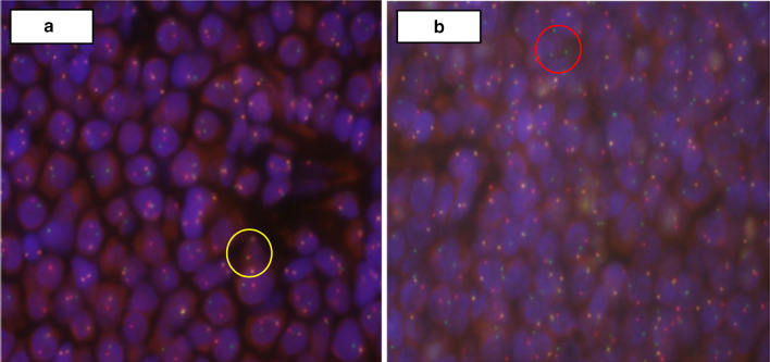 Fig. 4