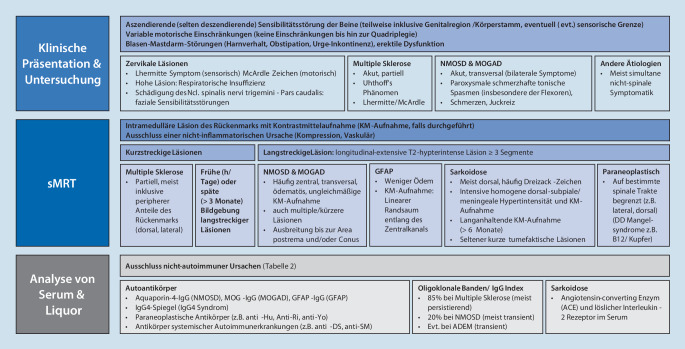 graphic file with name 115_2021_1092_Fig1_HTML.jpg