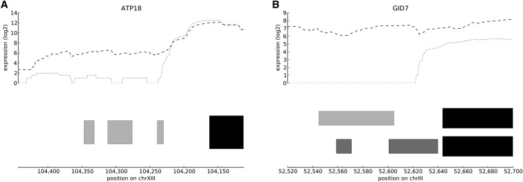 Figure 3 