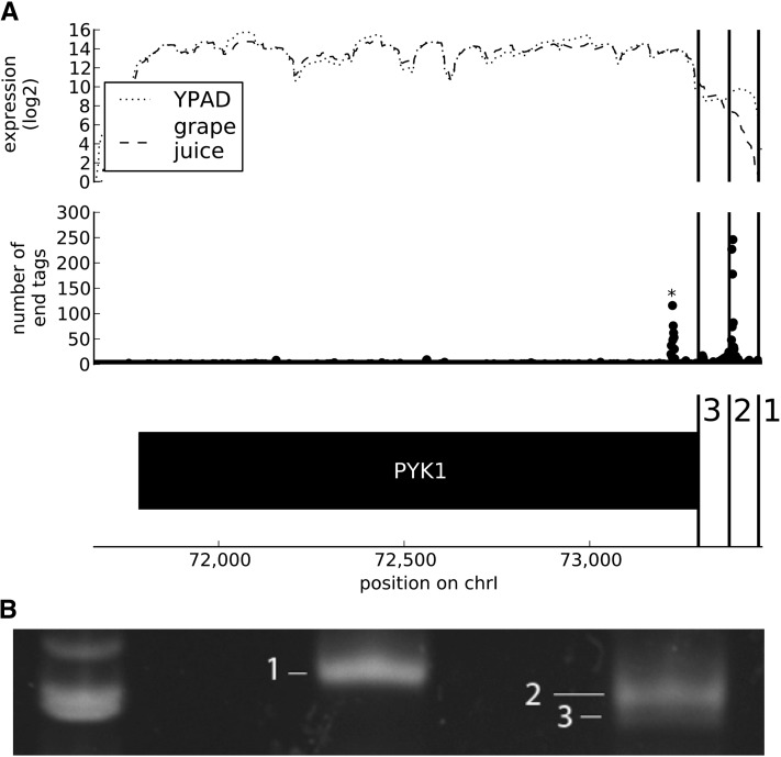 Figure 5 