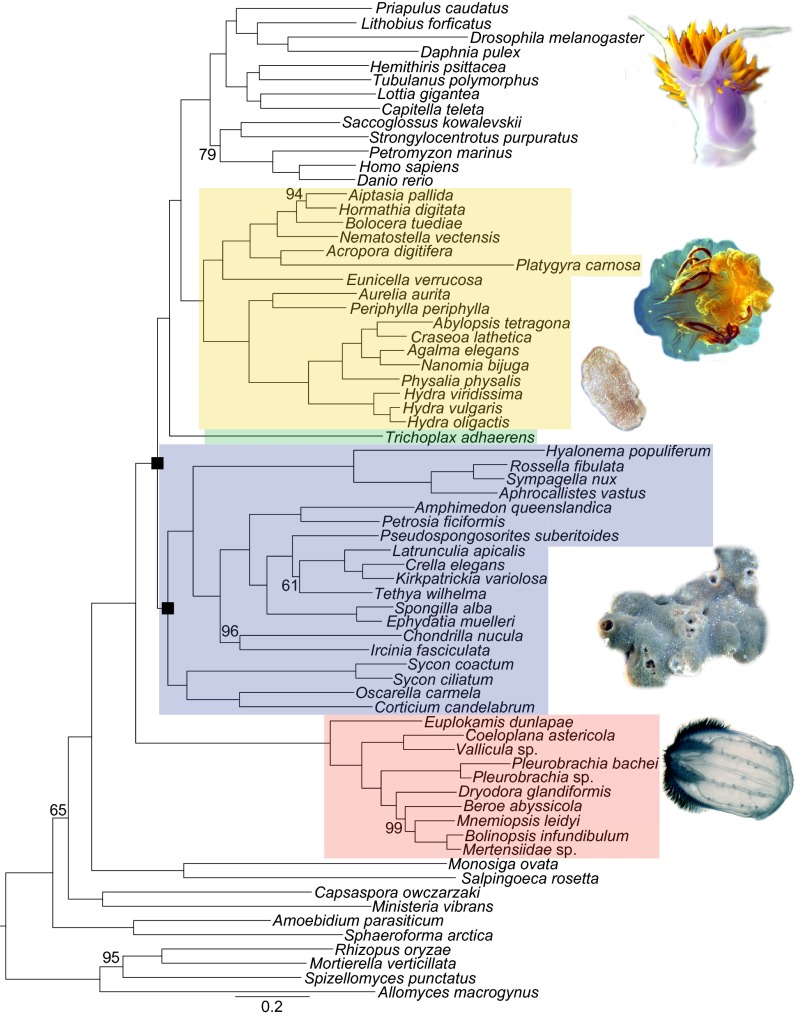 Fig. 3.