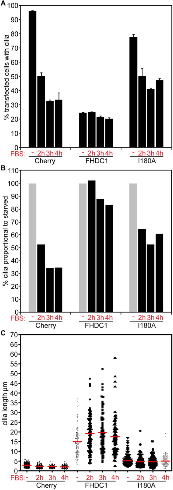 FIGURE 7: