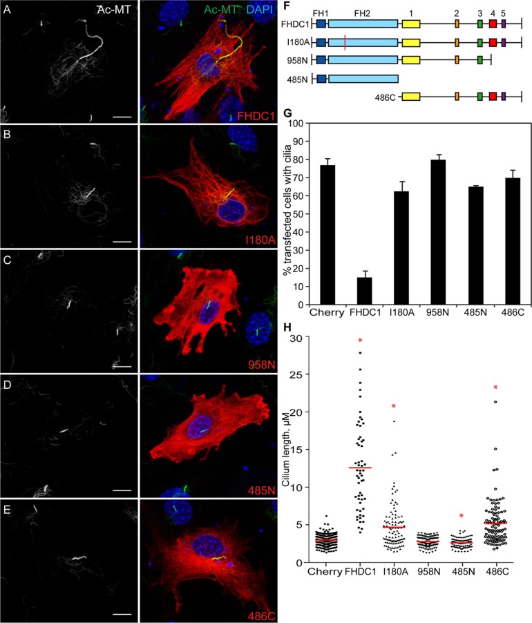 FIGURE 3: