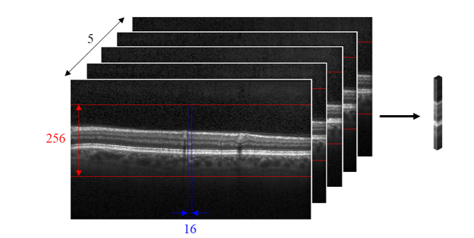 Fig. 3