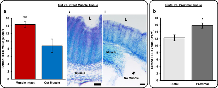 Figure 6: