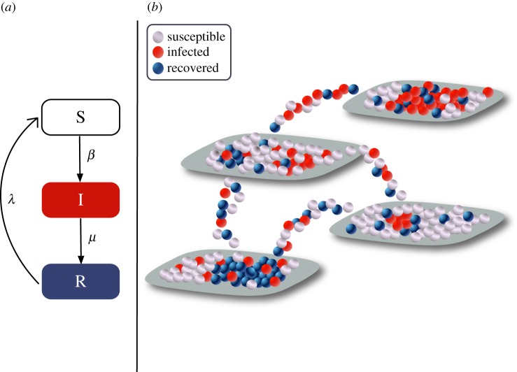 Figure 1.