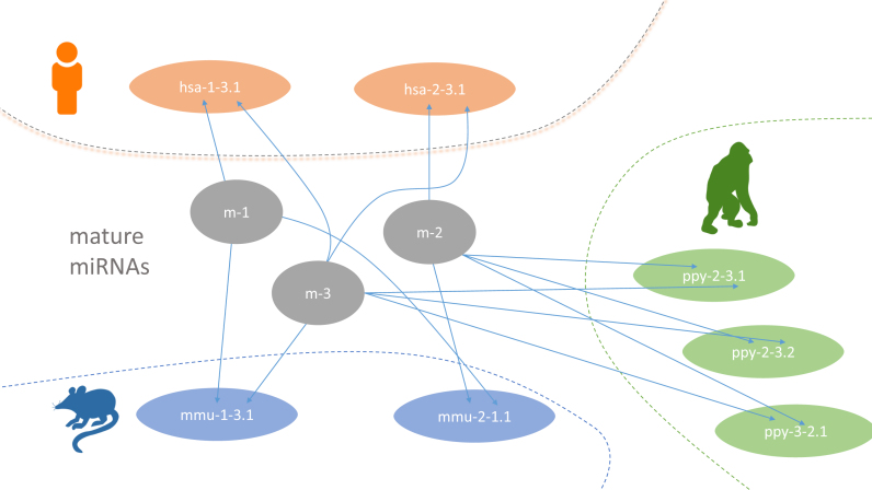 Figure 2.