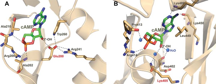 FIGURE 15.